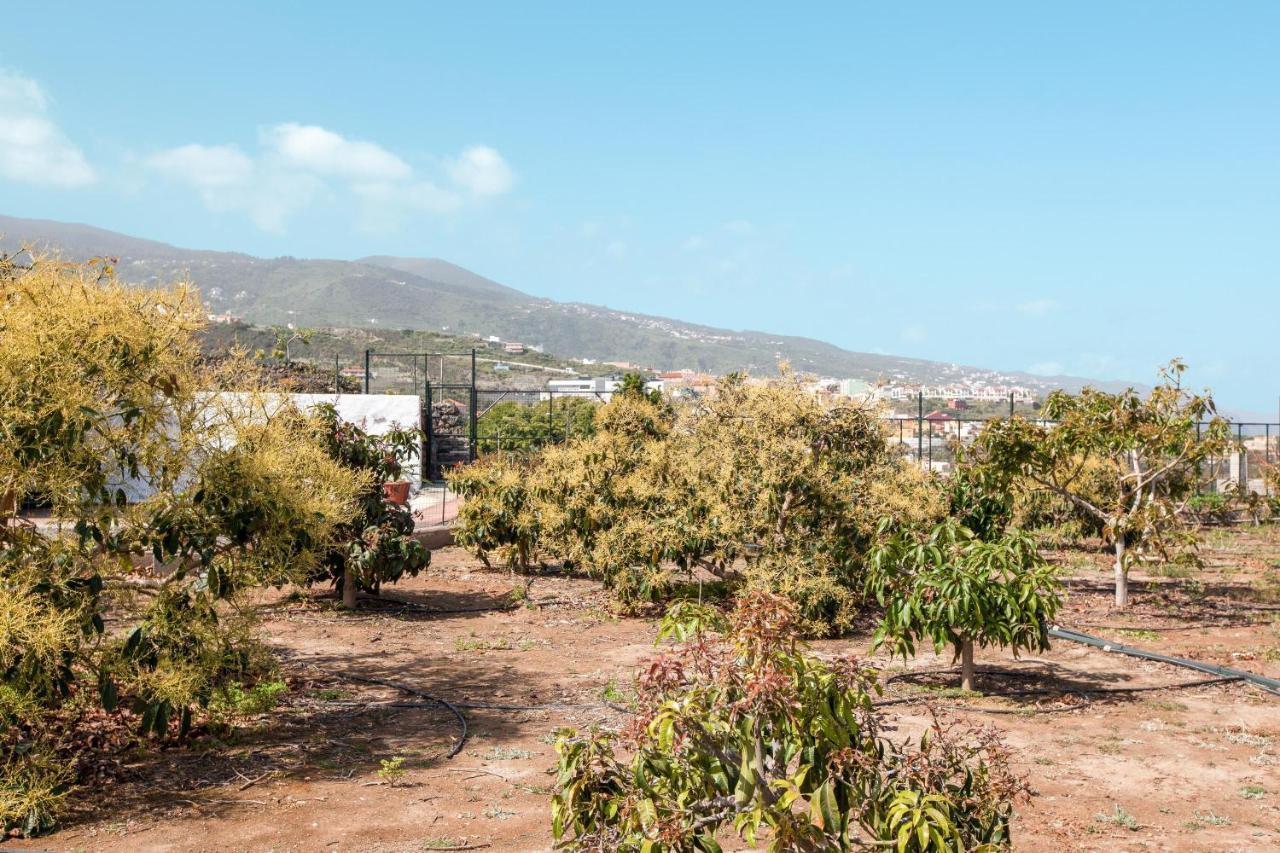 Casa Quemahierro 2 Villa Icod De Los Vinos Bagian luar foto
